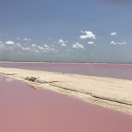 渔人之岛别墅酒店 Río Lagartos 外观 照片
