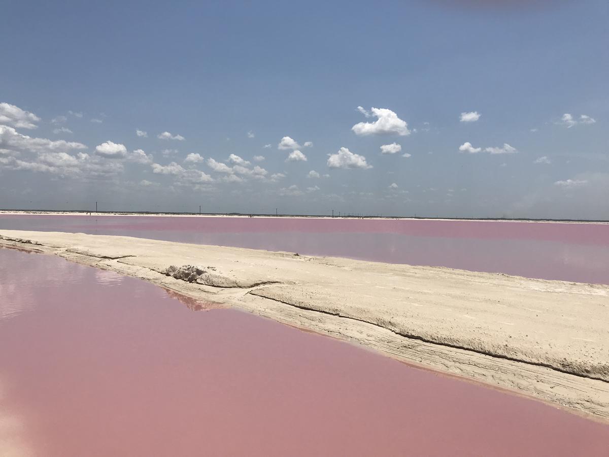 渔人之岛别墅酒店 Río Lagartos 外观 照片